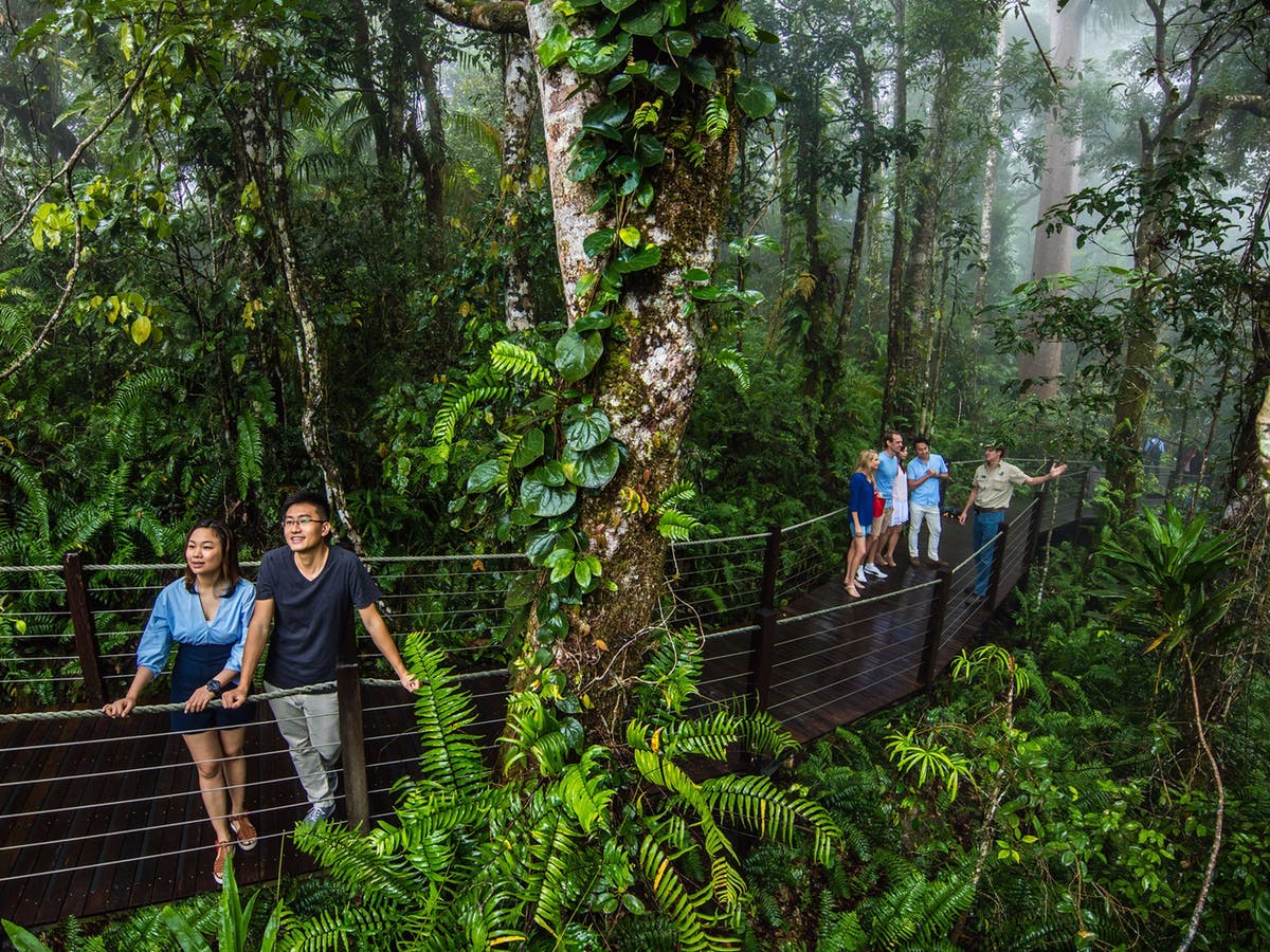 látogatók az esőerdőben